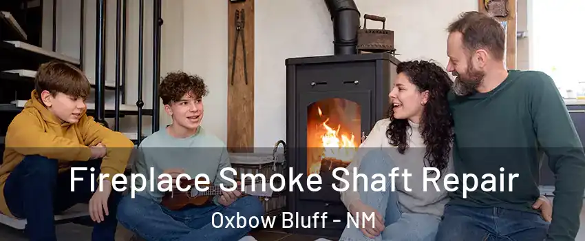 Fireplace Smoke Shaft Repair Oxbow Bluff - NM