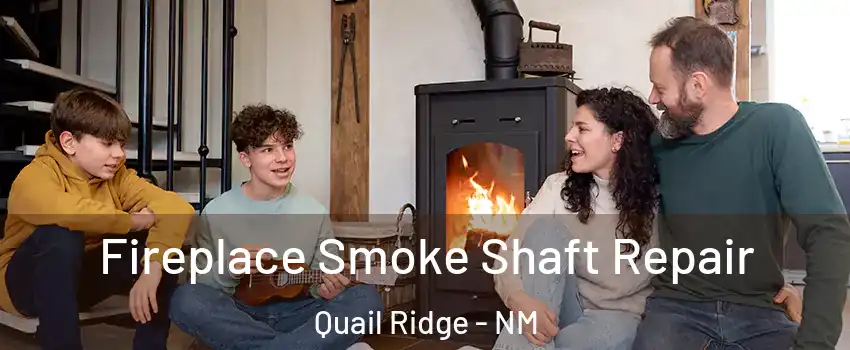 Fireplace Smoke Shaft Repair Quail Ridge - NM