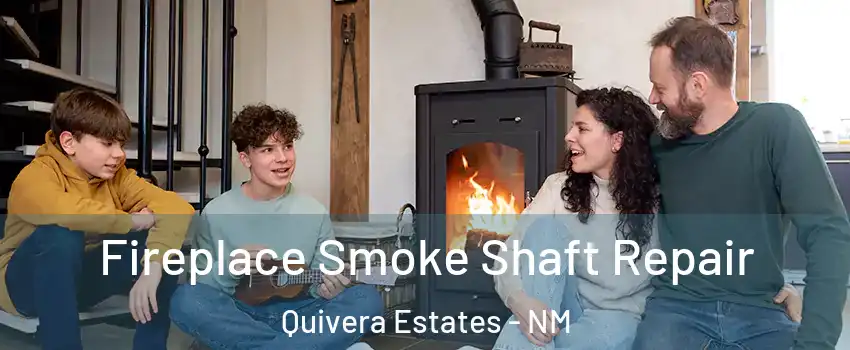 Fireplace Smoke Shaft Repair Quivera Estates - NM