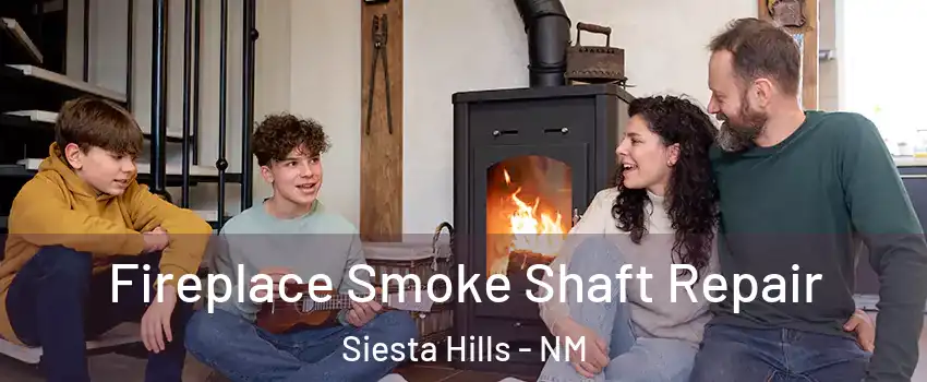 Fireplace Smoke Shaft Repair Siesta Hills - NM