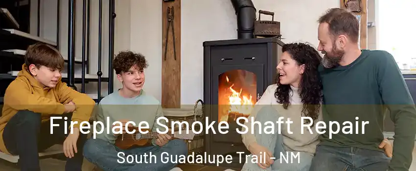 Fireplace Smoke Shaft Repair South Guadalupe Trail - NM