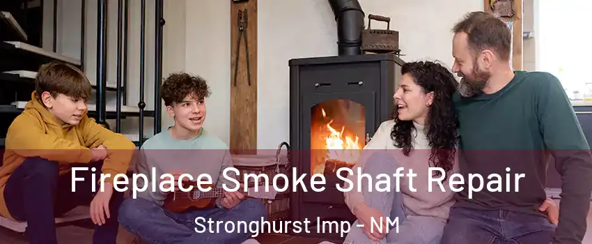 Fireplace Smoke Shaft Repair Stronghurst Imp - NM