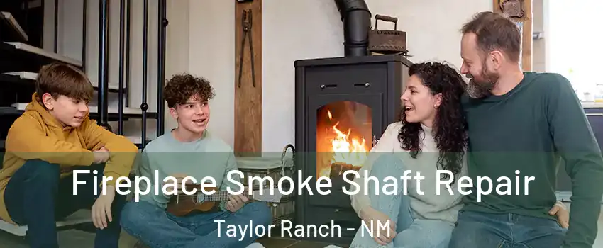 Fireplace Smoke Shaft Repair Taylor Ranch - NM