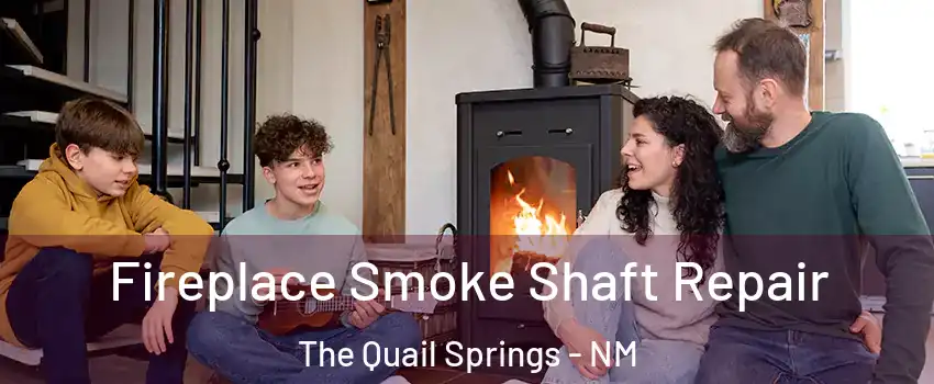 Fireplace Smoke Shaft Repair The Quail Springs - NM