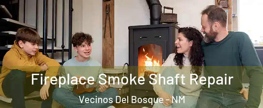 Fireplace Smoke Shaft Repair Vecinos Del Bosque - NM