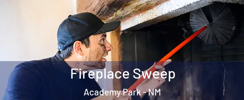 Fireplace Sweep Academy Park - NM