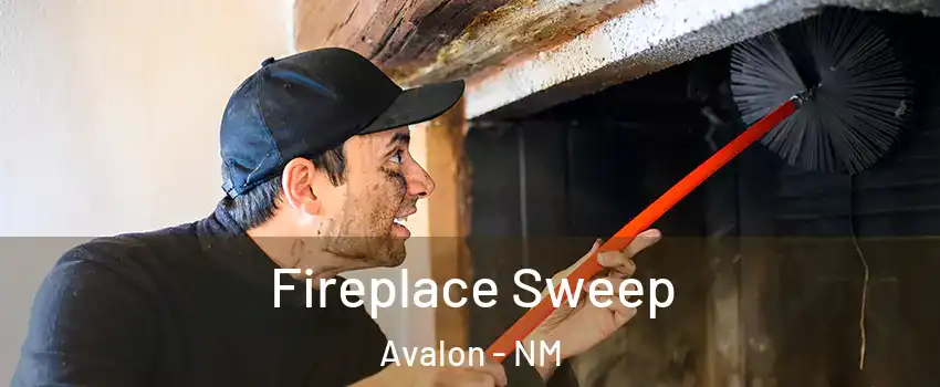 Fireplace Sweep Avalon - NM