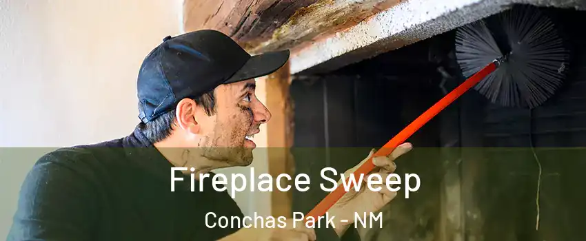 Fireplace Sweep Conchas Park - NM