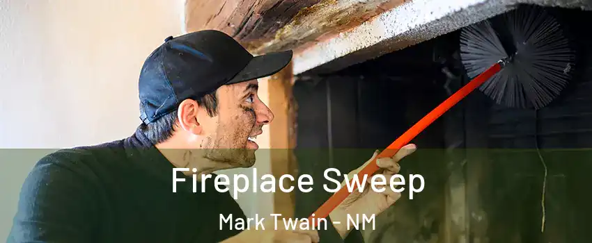 Fireplace Sweep Mark Twain - NM