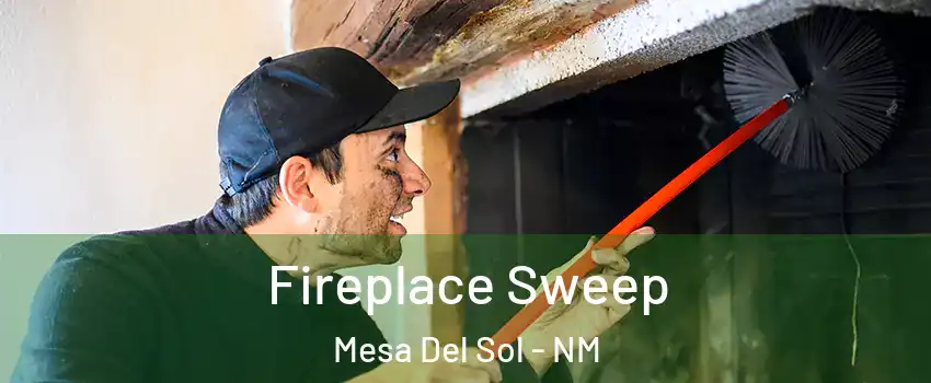 Fireplace Sweep Mesa Del Sol - NM