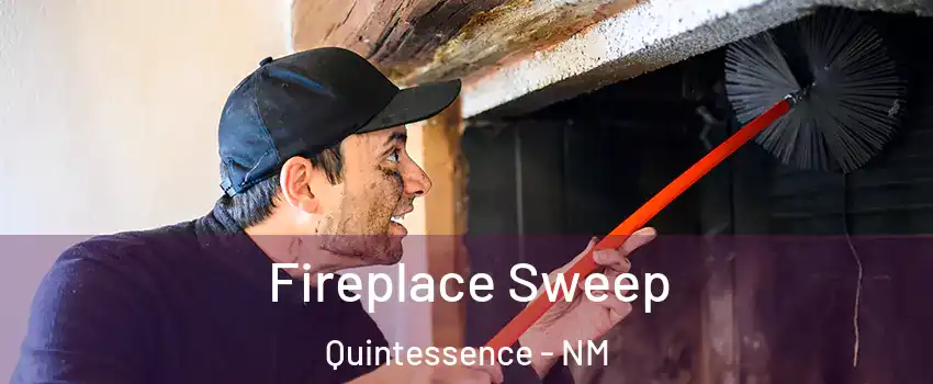 Fireplace Sweep Quintessence - NM