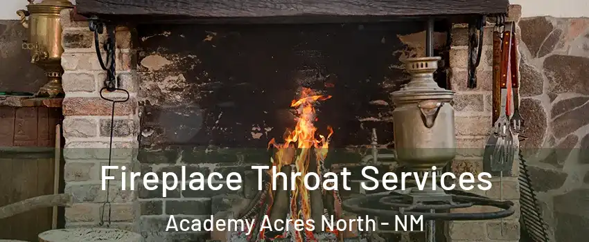 Fireplace Throat Services Academy Acres North - NM