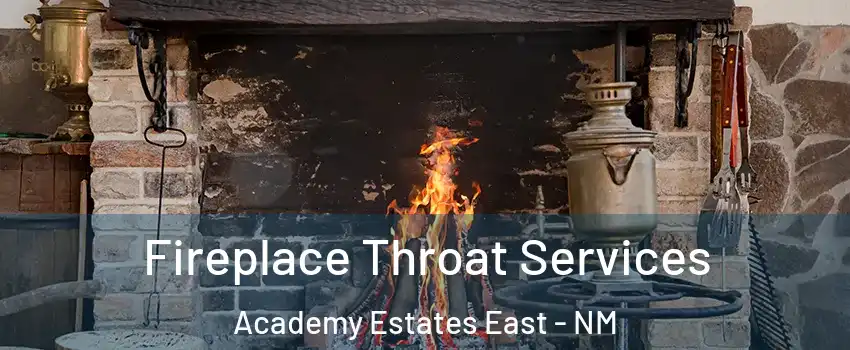 Fireplace Throat Services Academy Estates East - NM