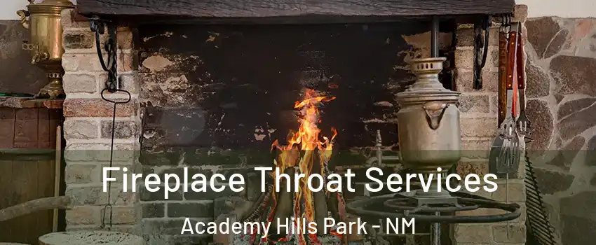 Fireplace Throat Services Academy Hills Park - NM
