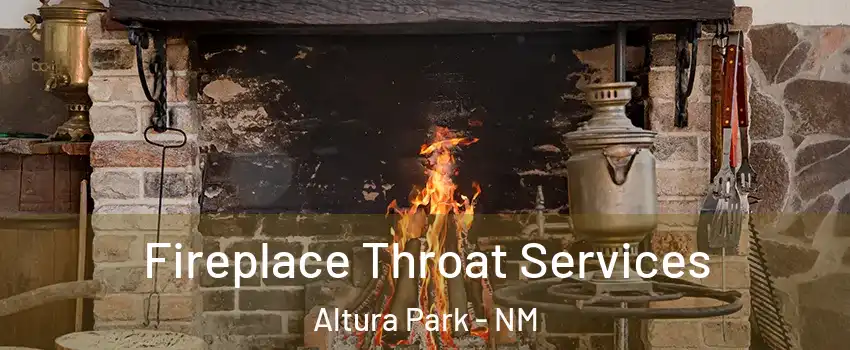 Fireplace Throat Services Altura Park - NM