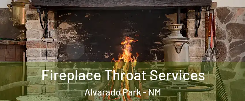 Fireplace Throat Services Alvarado Park - NM