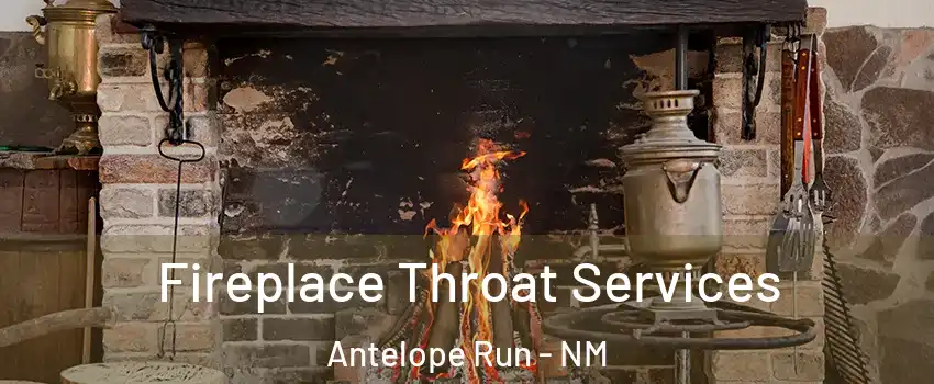 Fireplace Throat Services Antelope Run - NM