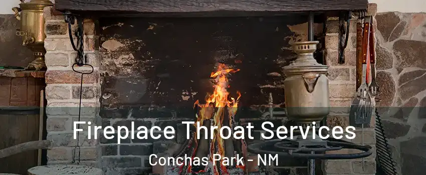 Fireplace Throat Services Conchas Park - NM