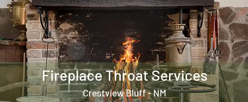 Fireplace Throat Services Crestview Bluff - NM
