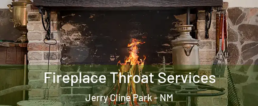 Fireplace Throat Services Jerry Cline Park - NM