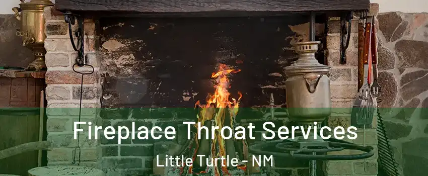 Fireplace Throat Services Little Turtle - NM