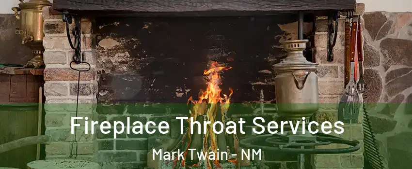 Fireplace Throat Services Mark Twain - NM