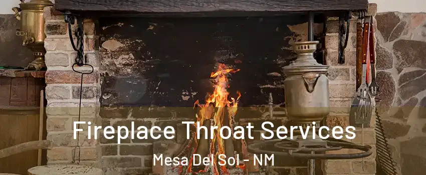 Fireplace Throat Services Mesa Del Sol - NM