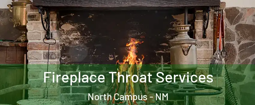 Fireplace Throat Services North Campus - NM