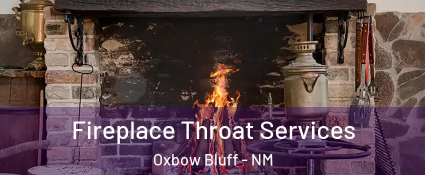 Fireplace Throat Services Oxbow Bluff - NM