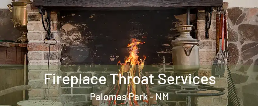 Fireplace Throat Services Palomas Park - NM