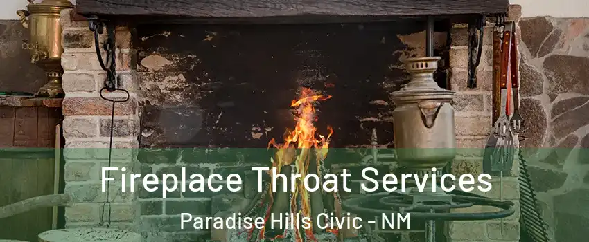 Fireplace Throat Services Paradise Hills Civic - NM