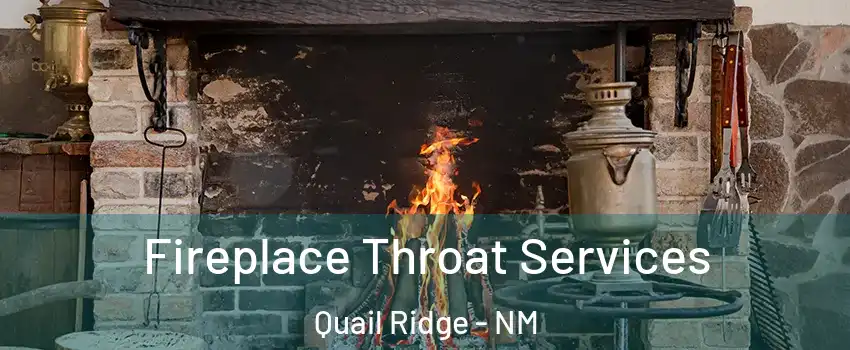 Fireplace Throat Services Quail Ridge - NM