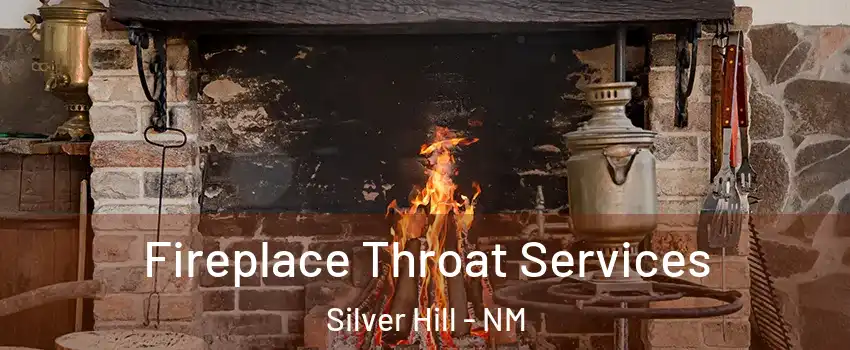 Fireplace Throat Services Silver Hill - NM