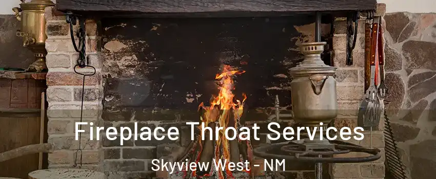 Fireplace Throat Services Skyview West - NM