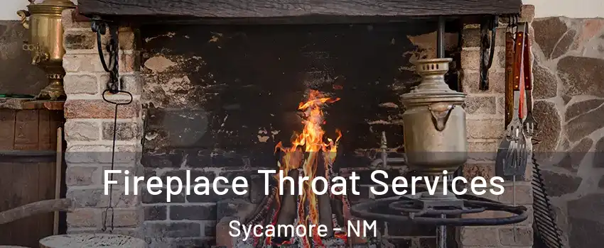Fireplace Throat Services Sycamore - NM