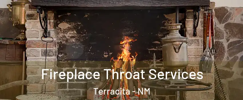 Fireplace Throat Services Terracita - NM