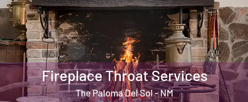 Fireplace Throat Services The Paloma Del Sol - NM