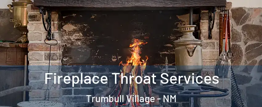 Fireplace Throat Services Trumbull Village - NM
