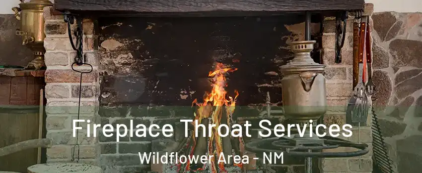 Fireplace Throat Services Wildflower Area - NM