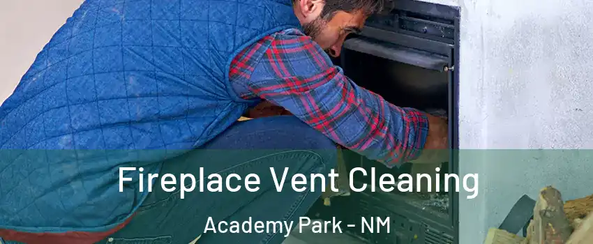 Fireplace Vent Cleaning Academy Park - NM