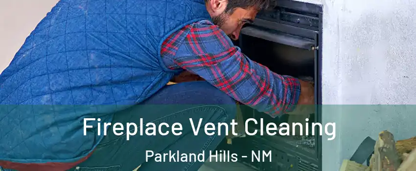 Fireplace Vent Cleaning Parkland Hills - NM