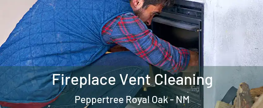 Fireplace Vent Cleaning Peppertree Royal Oak - NM