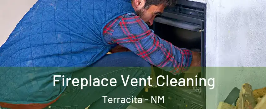 Fireplace Vent Cleaning Terracita - NM