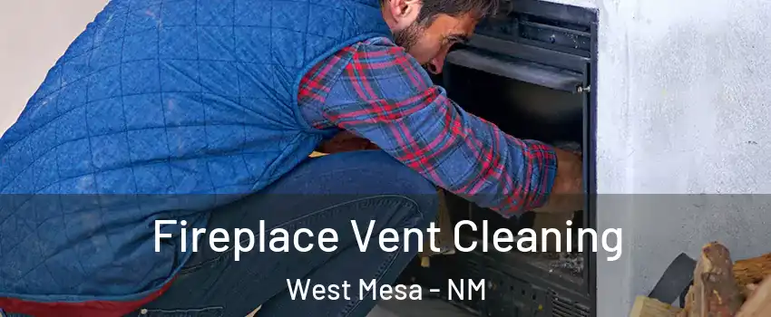 Fireplace Vent Cleaning West Mesa - NM