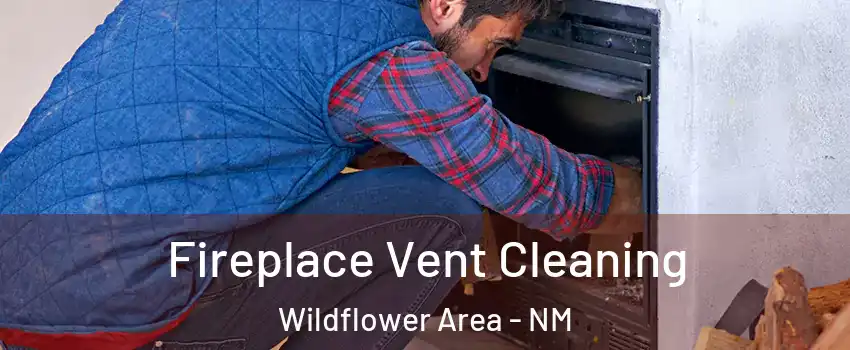 Fireplace Vent Cleaning Wildflower Area - NM
