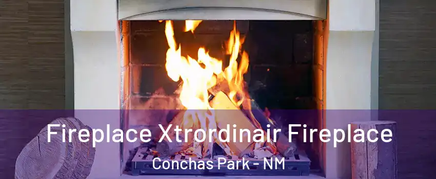 Fireplace Xtrordinair Fireplace Conchas Park - NM