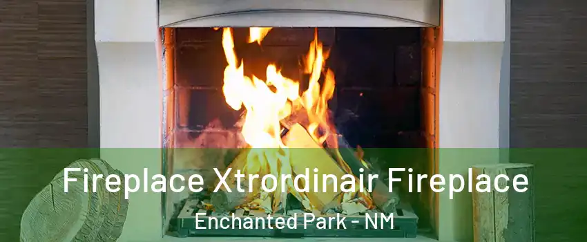 Fireplace Xtrordinair Fireplace Enchanted Park - NM