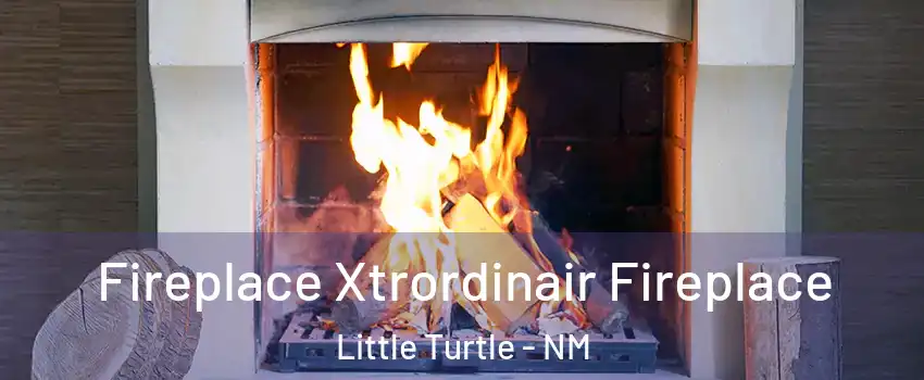 Fireplace Xtrordinair Fireplace Little Turtle - NM