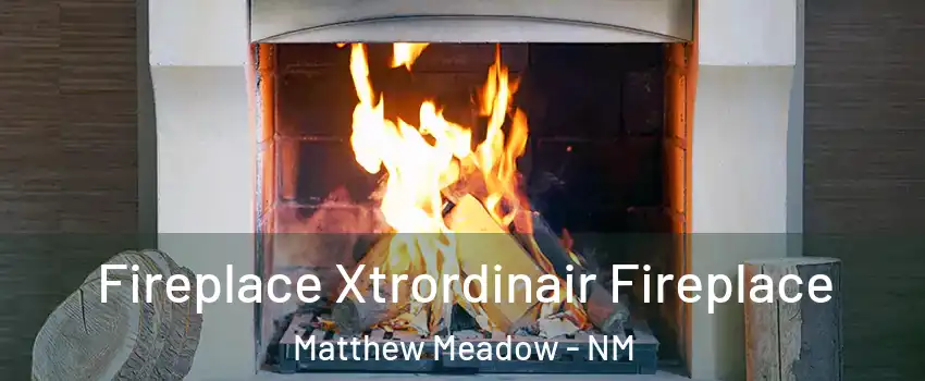 Fireplace Xtrordinair Fireplace Matthew Meadow - NM