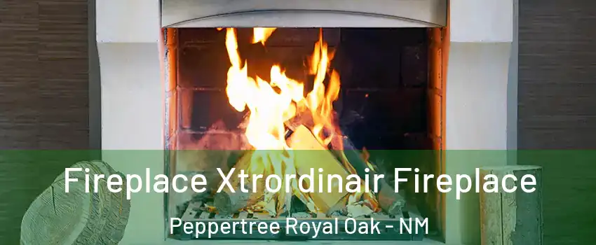 Fireplace Xtrordinair Fireplace Peppertree Royal Oak - NM